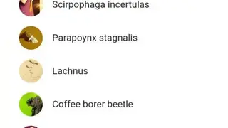 Insect pests screenshot
