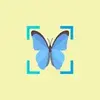 InsectID Scanner