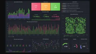 InsightCat screenshot