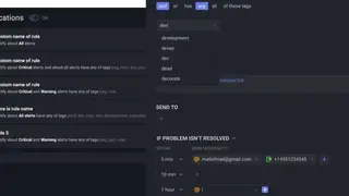 InsightCat screenshot