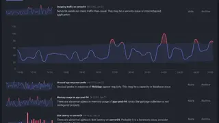 InsightCat screenshot