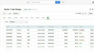 Insightly screenshot