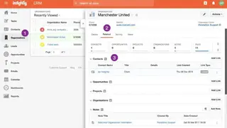 Insightly screenshot