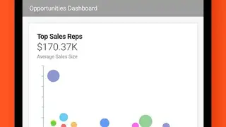 Insightly CRM screenshot