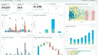 InsightSquared screenshot