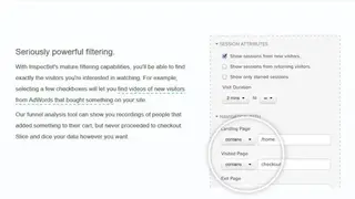 Inspectlet screenshot
