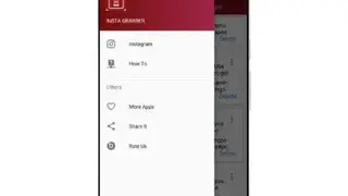 Insta Grabber PRO screenshot