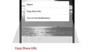 Insta Save for Instagram screenshot