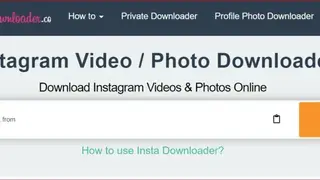 InstaDownloader screenshot