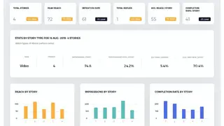 Instagram Analytics by Socialinsider screenshot