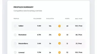 Instagram Analytics by Socialinsider screenshot