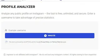 Instagram Followers Analyzer screenshot
