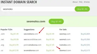 Instant Domain Search screenshot