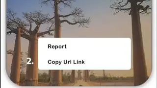 Instant Save & Repost for Instagram screenshot