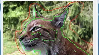 InstantMask screenshot