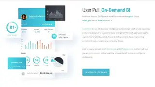 IntelliFront BI screenshot