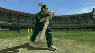 International Cricket 2010 screenshot