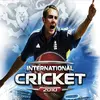 International Cricket 2010
