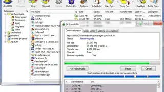 Internet Download Manager screenshot