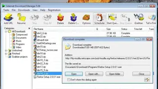 Internet Download Manager screenshot