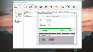 Internet Download Manager screenshot