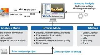 InterraSystems VEGA screenshot