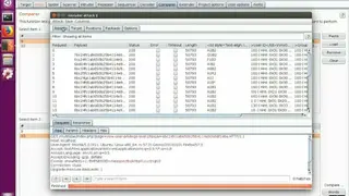 Intruder screenshot