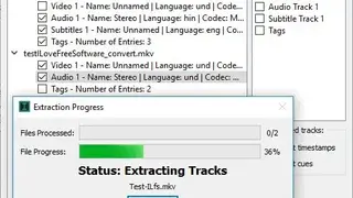 Inviska MKV Extract screenshot