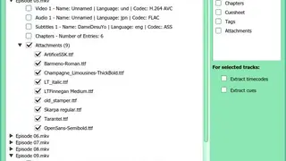 Inviska MKV Extract screenshot