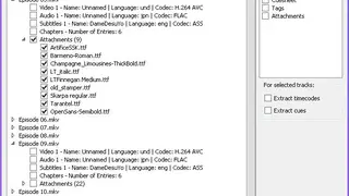 Inviska MKV Extract screenshot