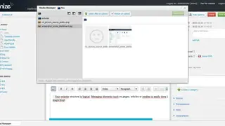 Ionize screenshot