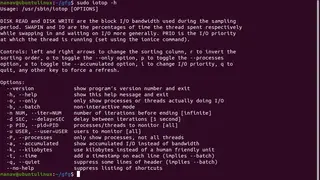 Iotop screenshot