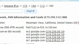 IP Address and Domain Information screenshot