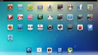 IPAD Simulator screenshot
