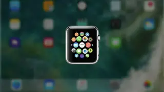 Ipadian screenshot