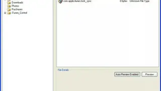 iPhoneBrowser screenshot