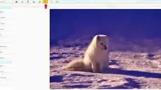 iPiccy screenshot