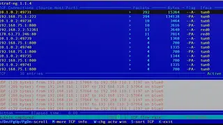 IPtraf-ng screenshot