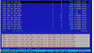 IPtraf-ng screenshot