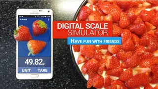 IQ Digital scale simulator screenshot
