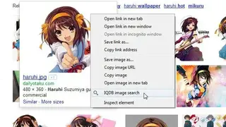 IQDB screenshot