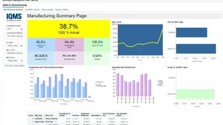 IQMS ERP screenshot