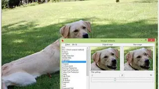 IrfanView screenshot