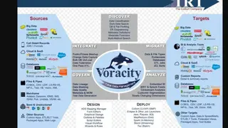IRI Voracity screenshot