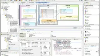IRI Voracity screenshot