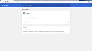 Iridium Web Browser screenshot