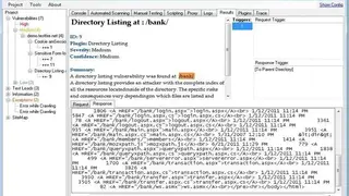 IronWASP screenshot