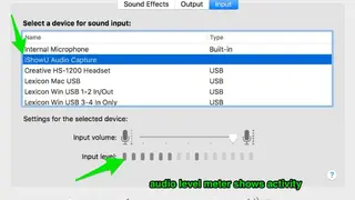 iShowU Audio Capture screenshot