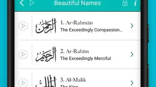 Islam Pro by Azaz Qureshi screenshot