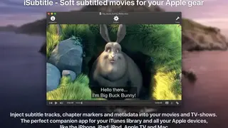 iSubtitle screenshot